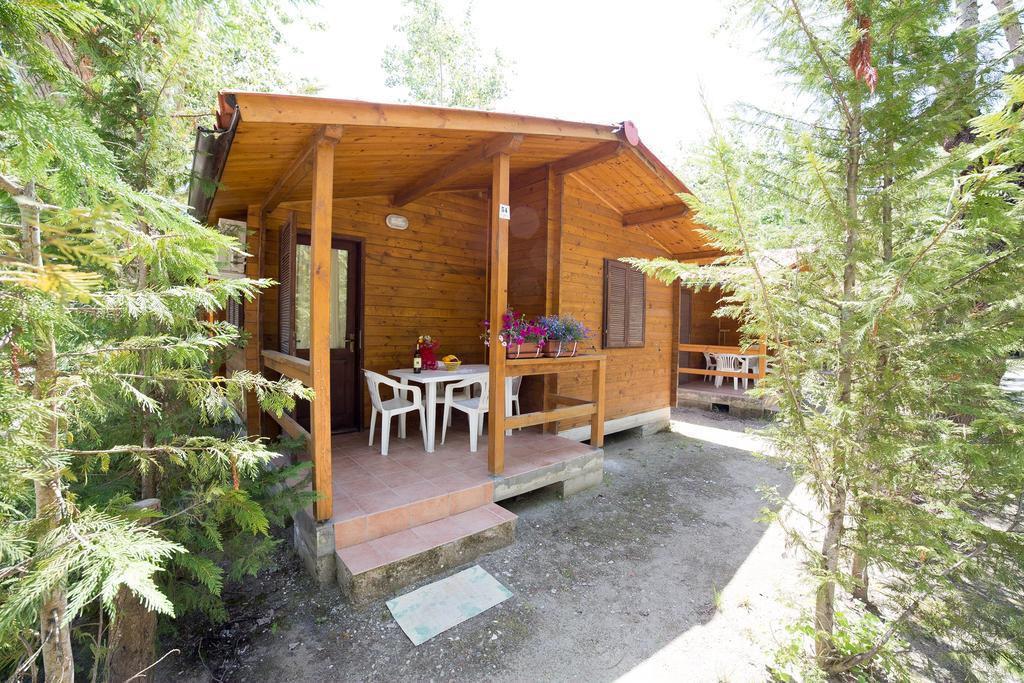 Camping Dei Tigli Torre del Lago Puccini Værelse billede